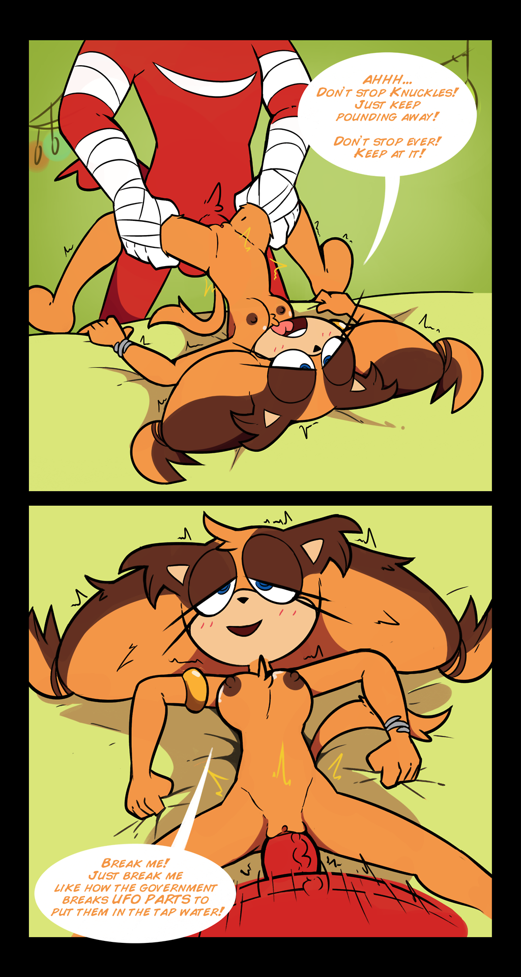 Sticks & Knuckles porn comic picture 8