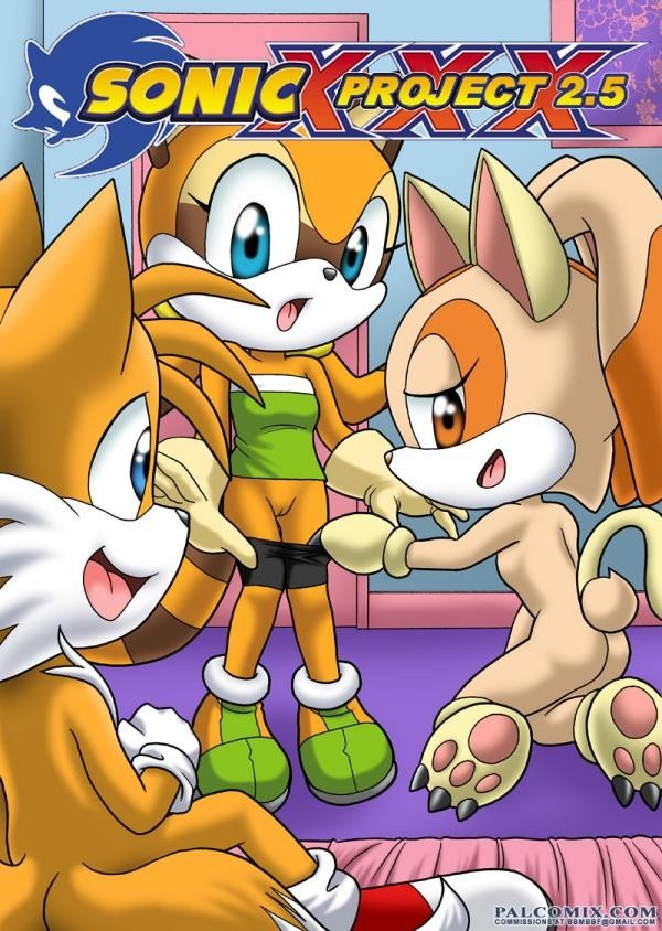 Sonic Project XXX 2.5 porn comic picture 1