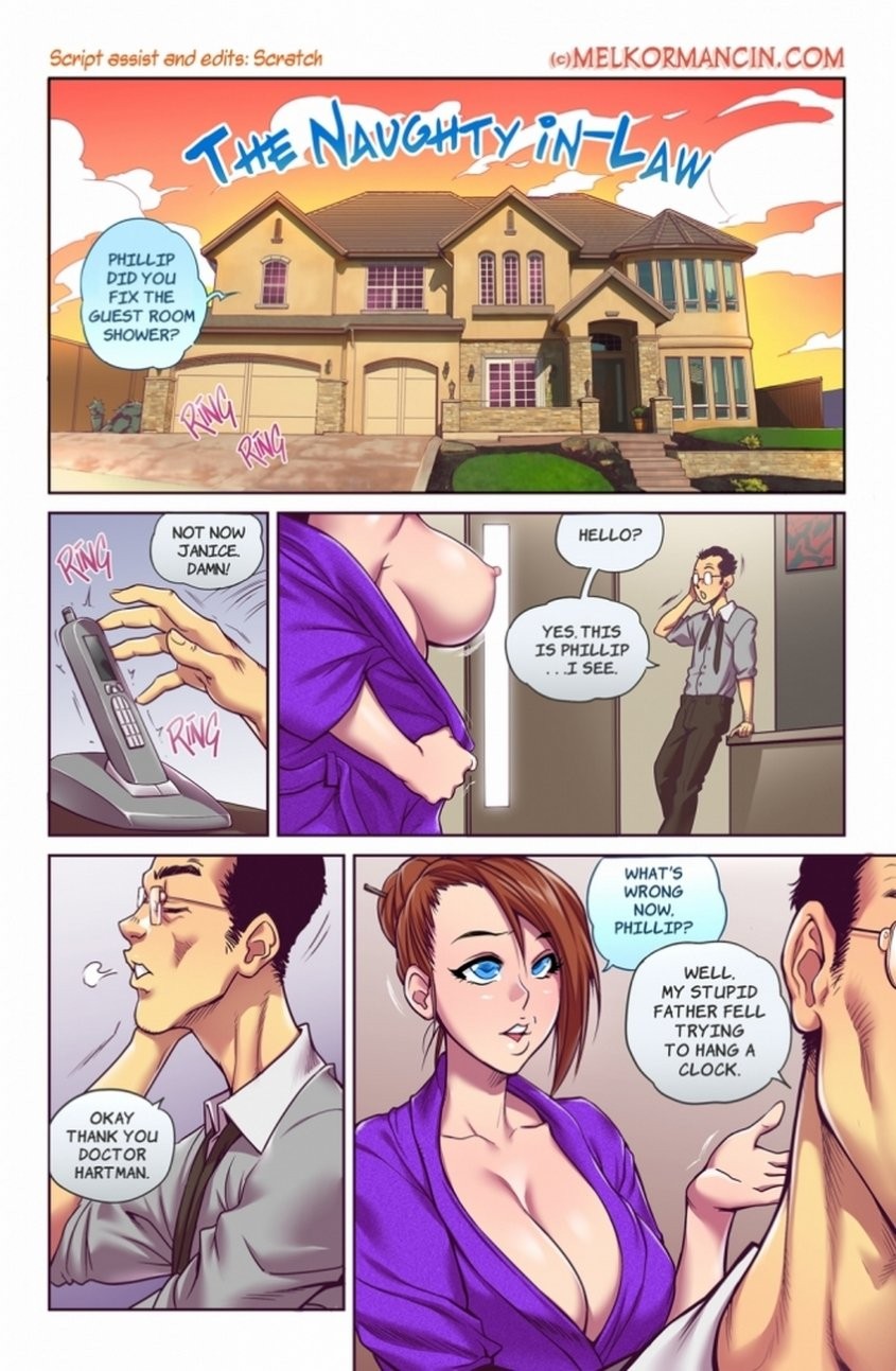 The Naughty In Law porn comic picture 2