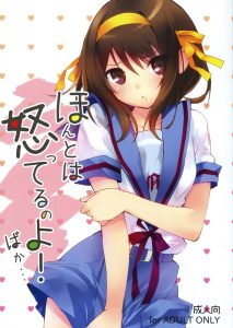 I Really Am Angry! Idiot hentai manga picture 1