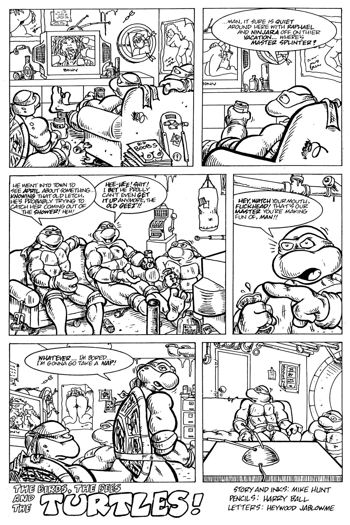 Teenage Mutant Ninja Turtles porn comic picture 2