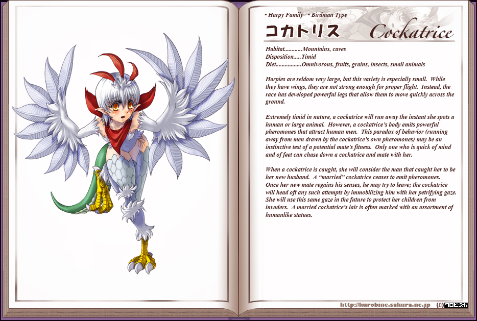 Monster Girl Encyclopedia hentai manga picture 29