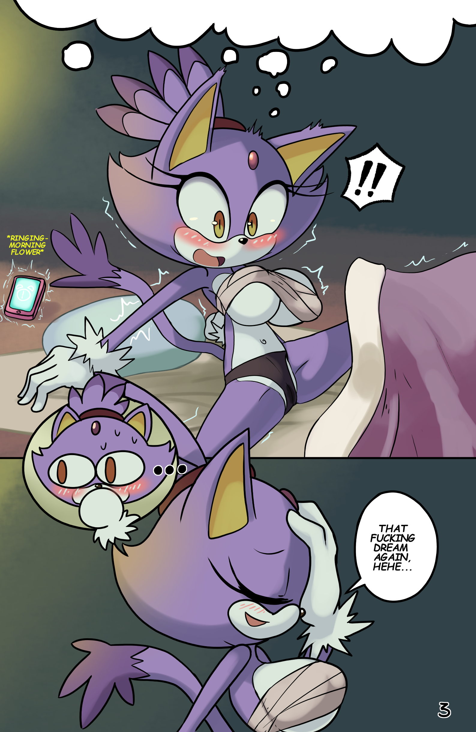 Tails Rush'd Blazy Mix porn comic picture 3