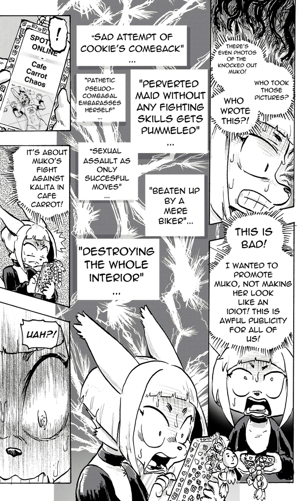 Furry Fight Chronicles 10 - 20 porn comic picture 16